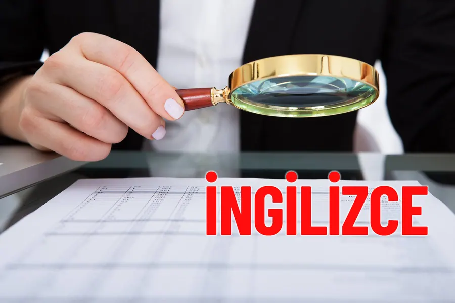 İç Denetim / İngilizce